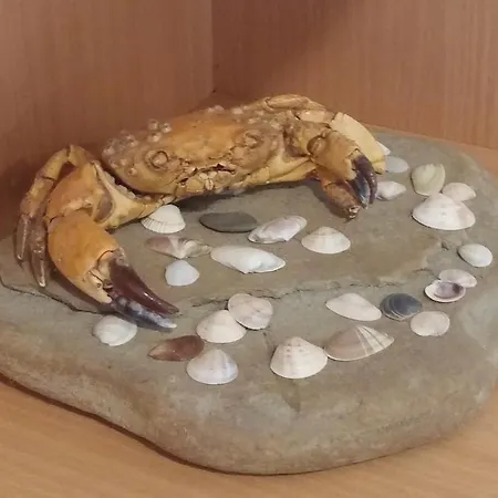 One-bedroom In サニービーチ